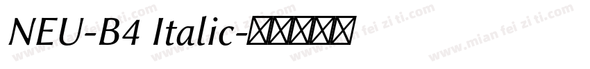 NEU-B4 Italic字体转换